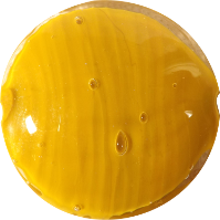 venezia moutarde plate33